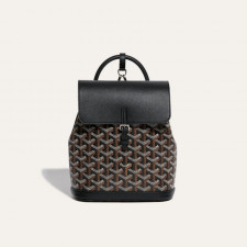 GOYARD 고야드 시스알팡 백팩 CISALPMMLTY01CL03P